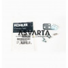 CONJUNTO ACELERADOR KOHLER CH270