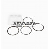 RUGGERINI RINGS PACK RD220 RF120