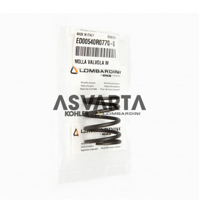 SPRING RUGGERINI RD RF MD VALVE