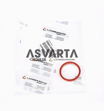 LOMBARDINI GASKET 9LD