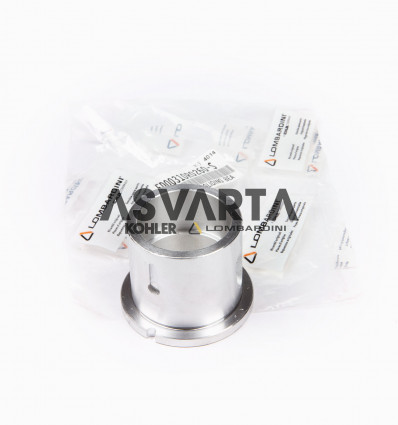 CRANKSHAFT BUSHING FLYWHEEL SIDE STD RUGGERINI CRD 951
