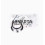 Bearing STD 0.25 Lombardini 3LD