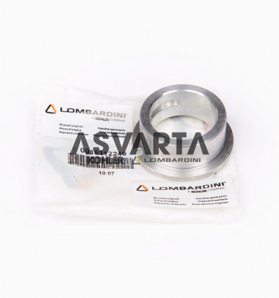 BEARING STD LOMBARDINI 0.50