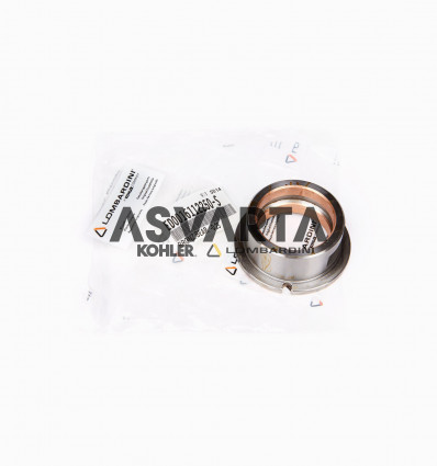 BEARING LOMBARDINI 0.25