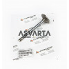 Intake Valve Lombardini 5LD