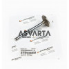 VALVULA ADMISION LOMBARDINI 5LD825