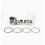 Piston complet STD. Lombardini 5LD 825