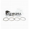 PISTON COMPLETO 0.50 LOMBARDINI 5LD 675