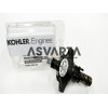 Bomba Inyector Lombardini Ruggerini 25LD MD150
