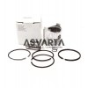 Full piston Ruggerini RD270/278/280