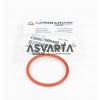 Replacement Ring Ruggerini MD 350