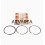 Set Ring 1,0 Lombardini 12LD Engines
