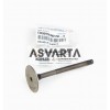 Exhaust Valve Ruggerini RF 120