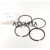 Ring +1,00 Lombardini LDA672