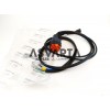 Conjunto Cable Lombardini 9 LD 625