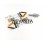 Tobera Inyector Slanzi DVA 1750