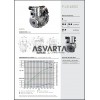 ENGINE LOMBARDINI 9LD 625/2 PASQUALI VERSION