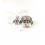 Bearing Support Lombardini 3LD