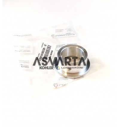 Pin Lombardini LDW502