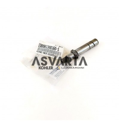 Regulating Shaft Lombardini