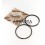 Set Segment 0.5 Lombardini IM 350