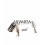 Valve Springs Lombardini LDA 96