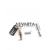Valve Springs Lombardini LDA 96