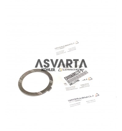 Anillo Ruggerini MD170