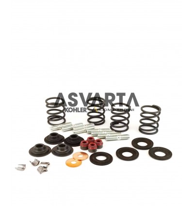 RD Ruggerini Valves Kit