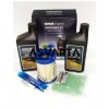 Kit Maintenance Kohler SDMO CH395