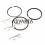 Set Piston Ring Engine Ruggerini RD180