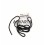 Rope Starting Kohler CH 260