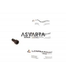 Screw Lombardini Marine 1404 M