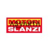 Slanzi Filtro Gasoil DVA1550