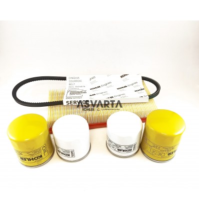 Kit 1000H Mantenimiento Kohler KDW 1404