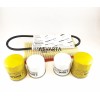 Kohler KDW 1404 Maintenance Kit 1000H