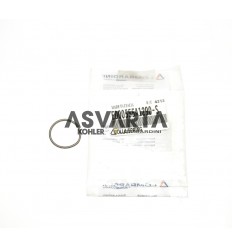 Spring Valves Acme Motori AL360