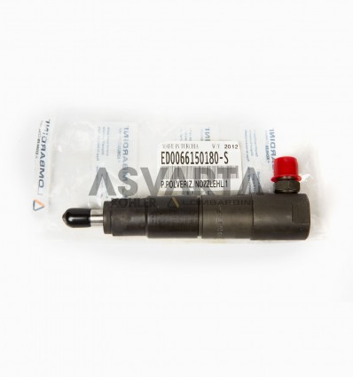 INYECTOR COMPLETO