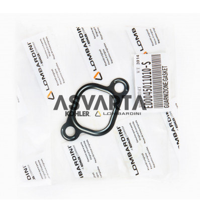 GASKET COLLECTOR LOMBARDINI