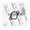 GASKET COLLECTOR LOMBARDINI