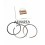 Rings 1.00 Lombardini LDW 2004