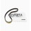 Correa Distribucion Lombardini Marine Focs 502
