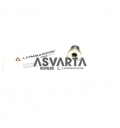 Cover Tank Lombardini 15LD 350