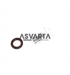 Anillo Sellado Lombardini LDW 442