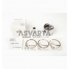 PISTON COMPLETO STD