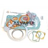 5LD825 Lombardini Joint Set