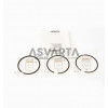 Ring Set 0.50 Lombardini