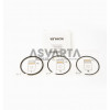 SEGMENT SERIES 0.50