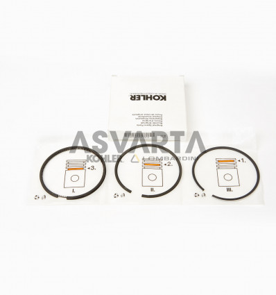 SERIE SEGMENTOS 0.50