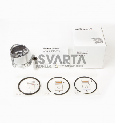 PISTON COMPLETO STD 6LD 360
